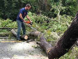 Best Utility Line Clearance  in Glasgow, MO